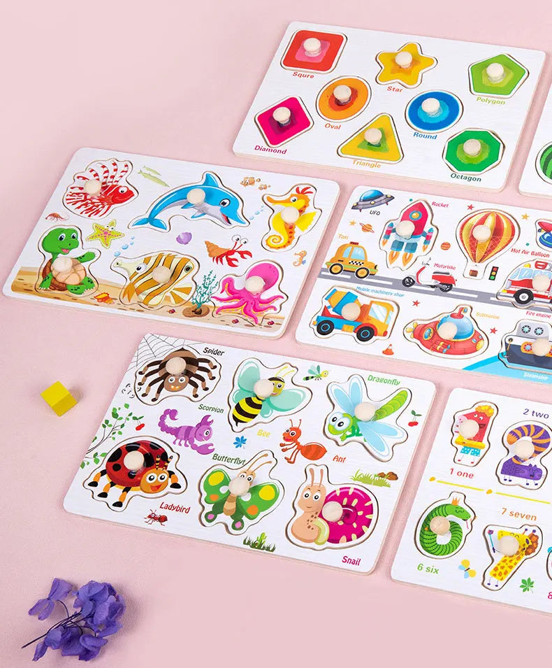 Montessori Wooden Puzzle Learning Toy