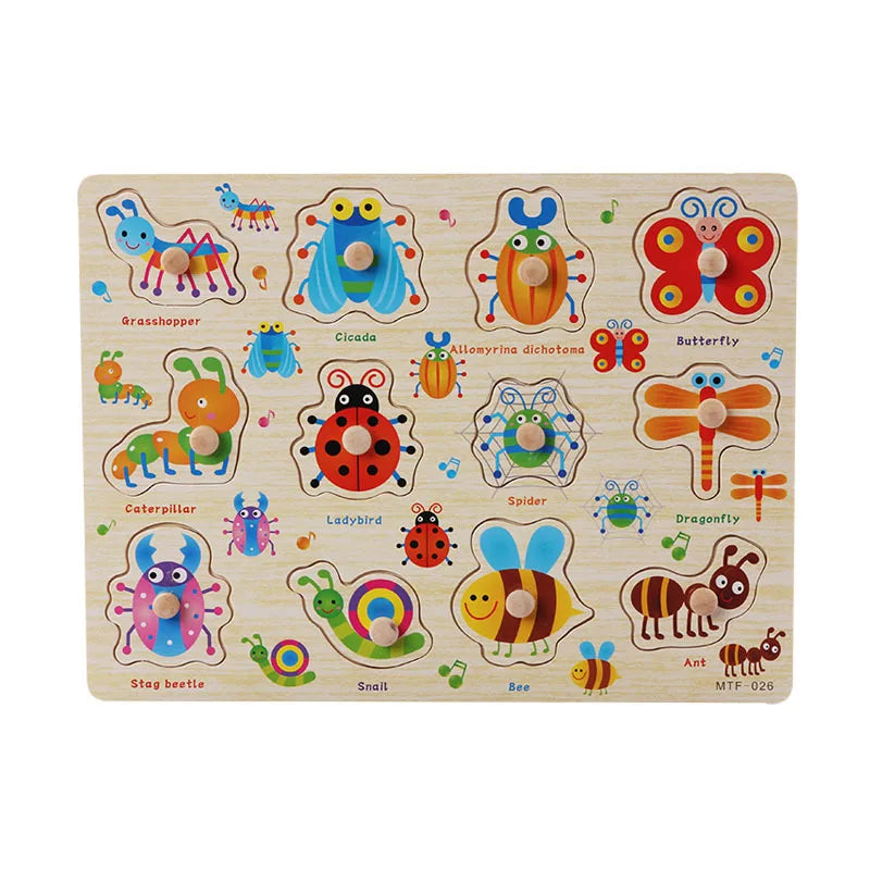 Montessori Wooden Puzzle Learning Toy