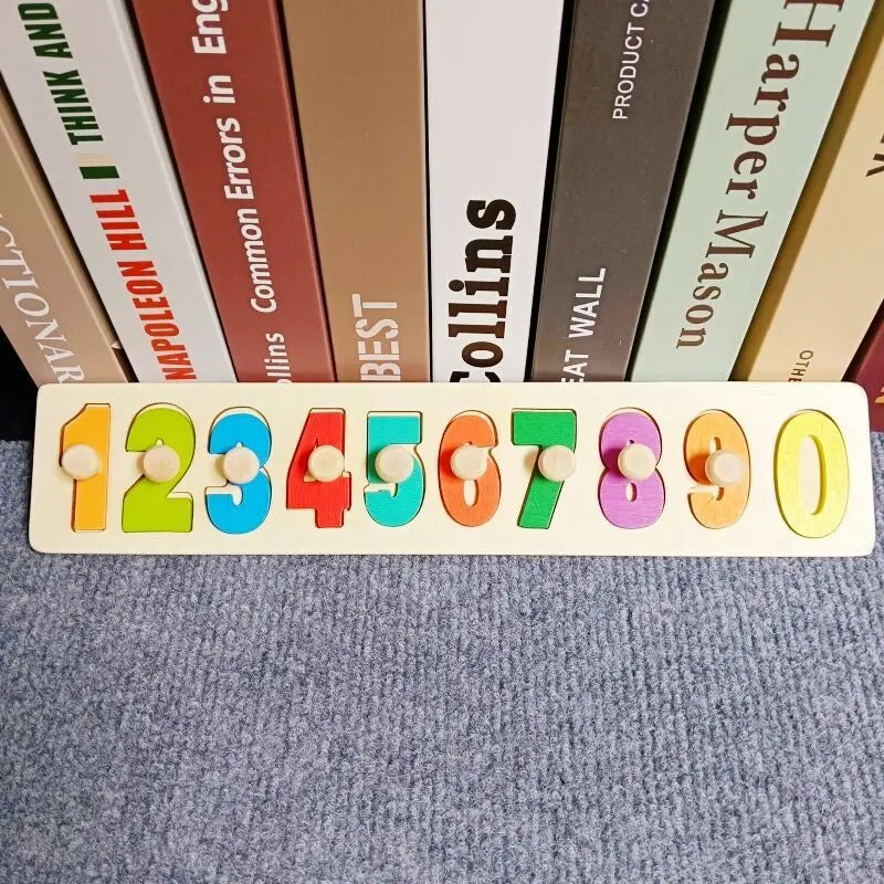Montessori Wooden Puzzle Learning Toy