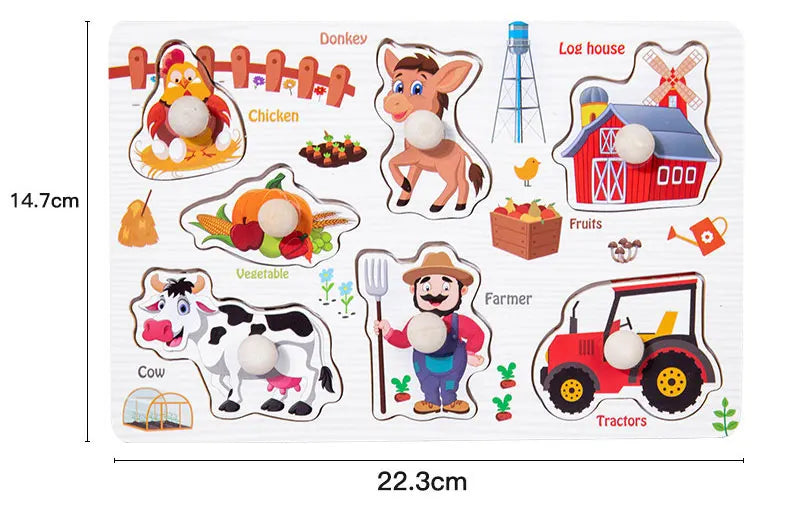 Montessori Wooden Puzzle Learning Toy